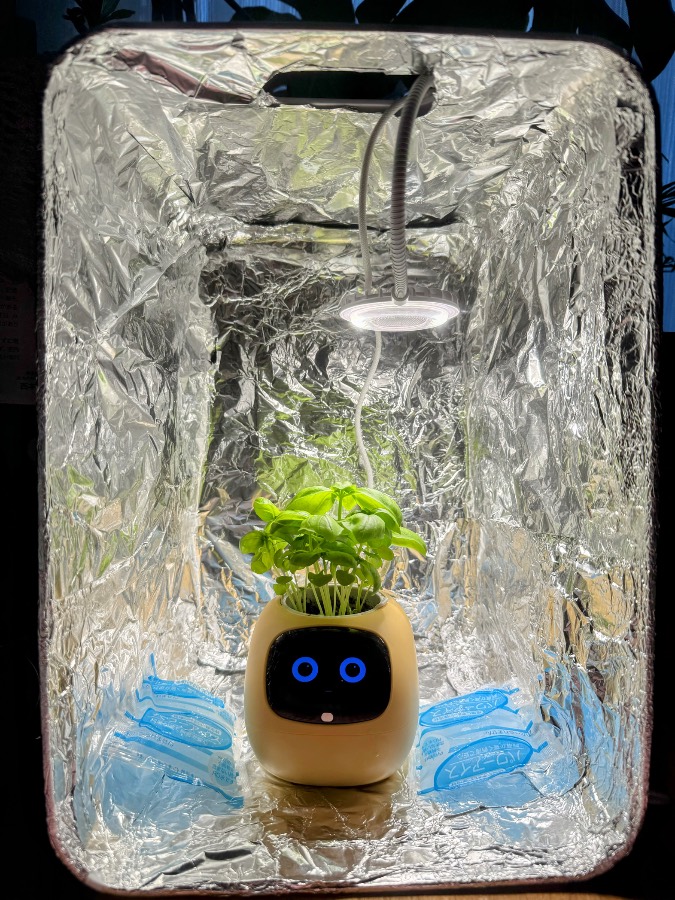 反射材で囲まれた空間の中にIvyが置かれ、その上に丸い照明が見えます。