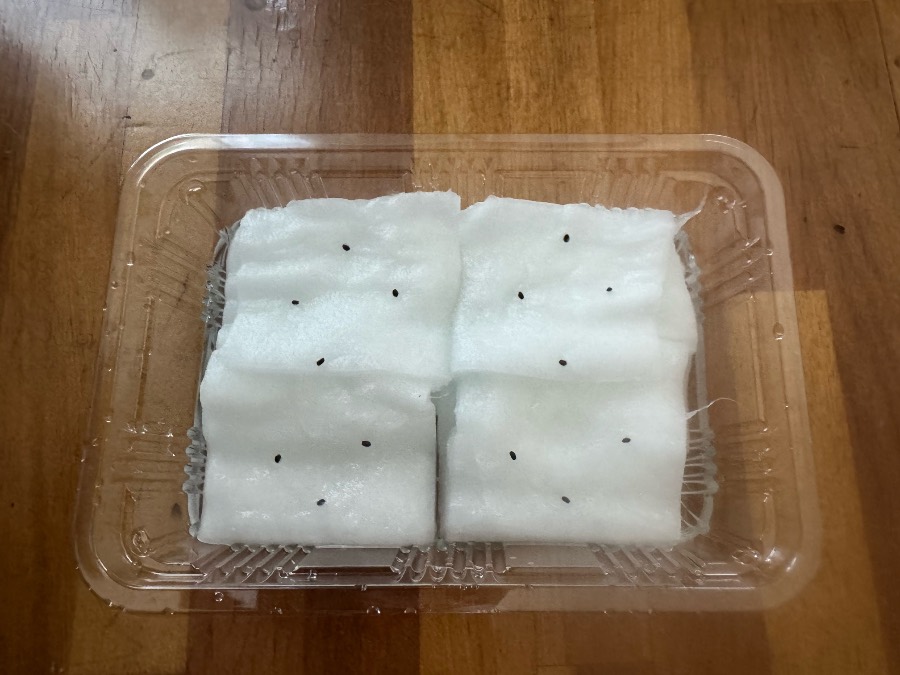 透明な容器の中に白い四角い素材が並び、その上に小さな黒い点が見えます。元の投稿には水耕栽培を始めたと記されています。