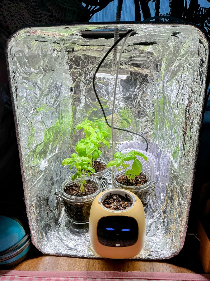 反射材で囲まれた空間に、複数の容器と黄色いIvyが並んでいます。上部には照明が見えます。