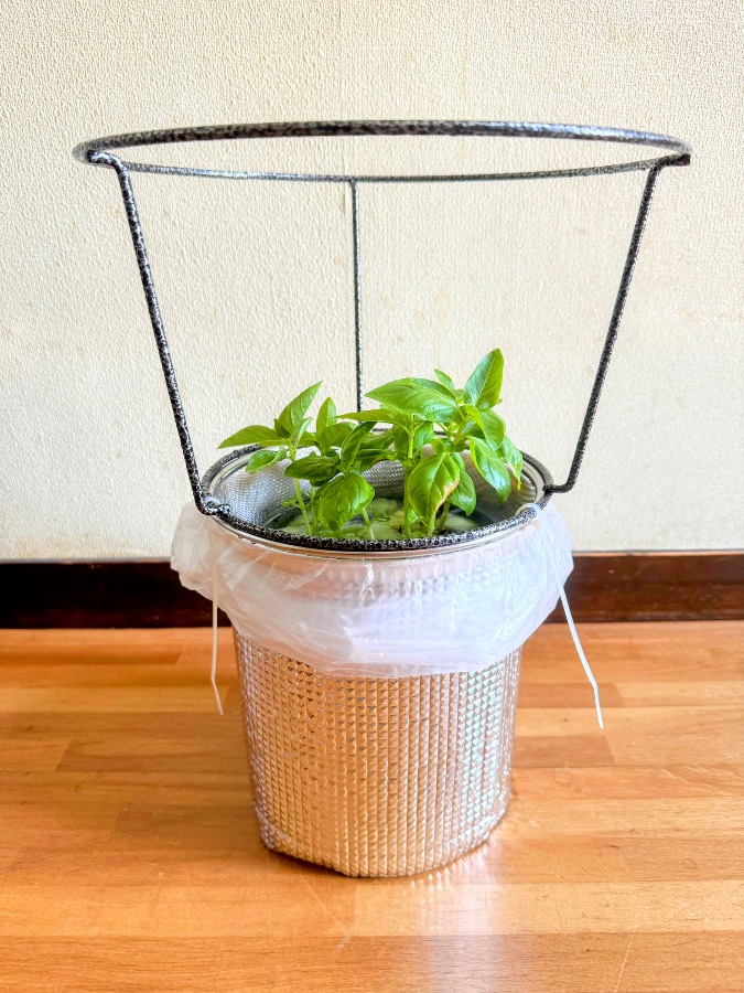 植物の入った鉢の周囲に、上へ伸びる黒い筒形の枠が見えます。鉢の外側は明るい色の素材で覆われています。