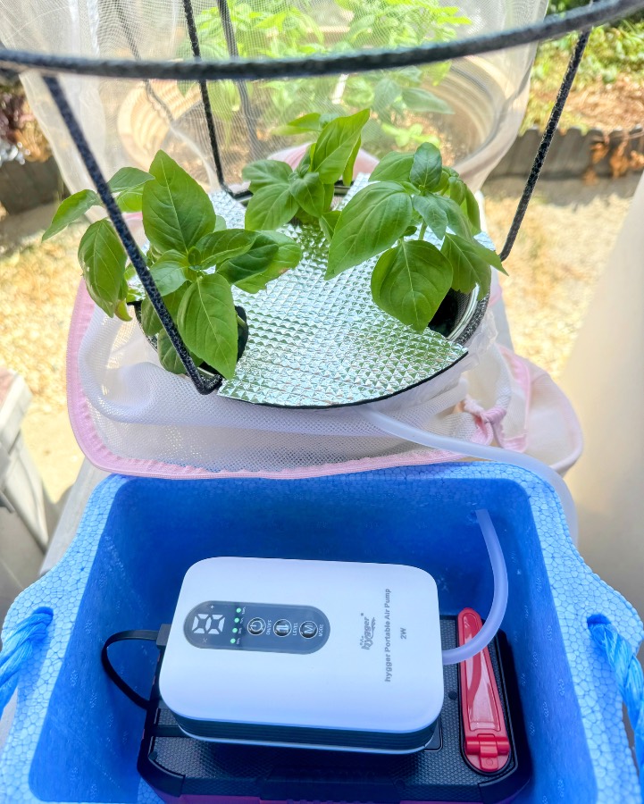 植物の容器の下に青い容器と白い機器があり、細い管がつながっているように見えます。写真から機器の動作や水量は確認できません。