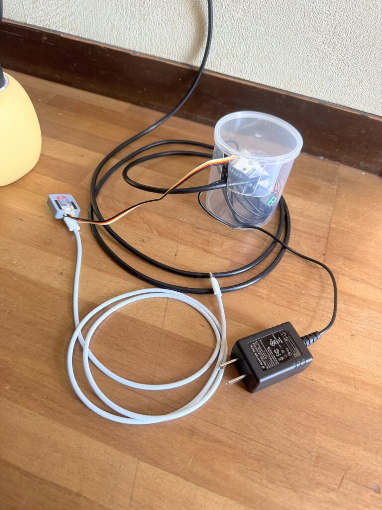 Ivyの写真を記録しました。 写真3
